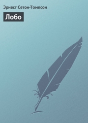Лобо