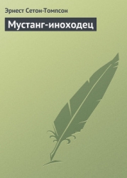 Мустанг-иноходец