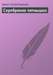 Серебряное пятнышко