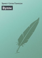 Вулли