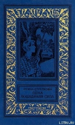 Похищение из провинциального музея
