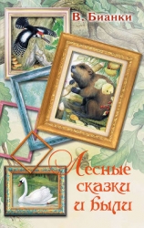 Заяц-косач, медведь и весна