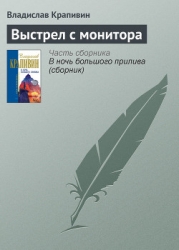 Выстрел с монитора (сборник)