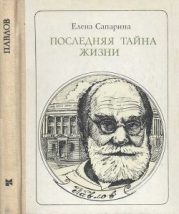 Последняя тайна жизни (Этюды о творчестве)