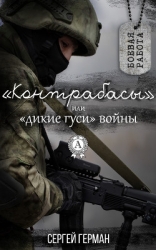 Контрабасы или дикие гуси войны (СИ)