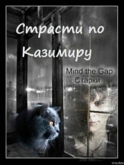 Страсти по Казимиру (СИ)