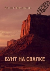 Бунт на свалке