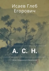 Ангел специального назначения(СИ)