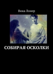 Собирая осколки (СИ)