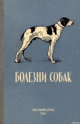 Болезни собак