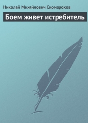 Боем живет истребитель