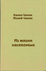 Из жизни насекомых