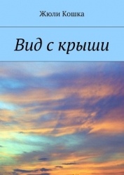 Вид с крыши (СИ)