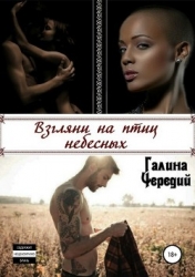 Взгляни на птиц небесных (СИ)