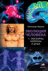 Эволюция человека том 2: Обезьяны нейроны и душа