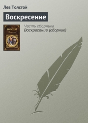 Том 13. Воскресение