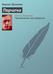Вишера. Перчатка или КР-2